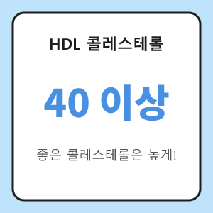 HDL 콜레스테롤 40 이상