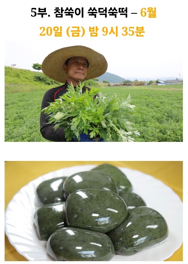 한국기행-해남-쑥떡-해풍쑥떡-삼산떡방앗간-참쑥이쑥떡쑥떡