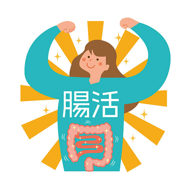 소화제 종류와 소화제 추천