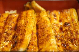 중복 음식 후기 포스팅 수익