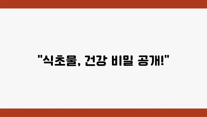 식초물 효능 5 가지