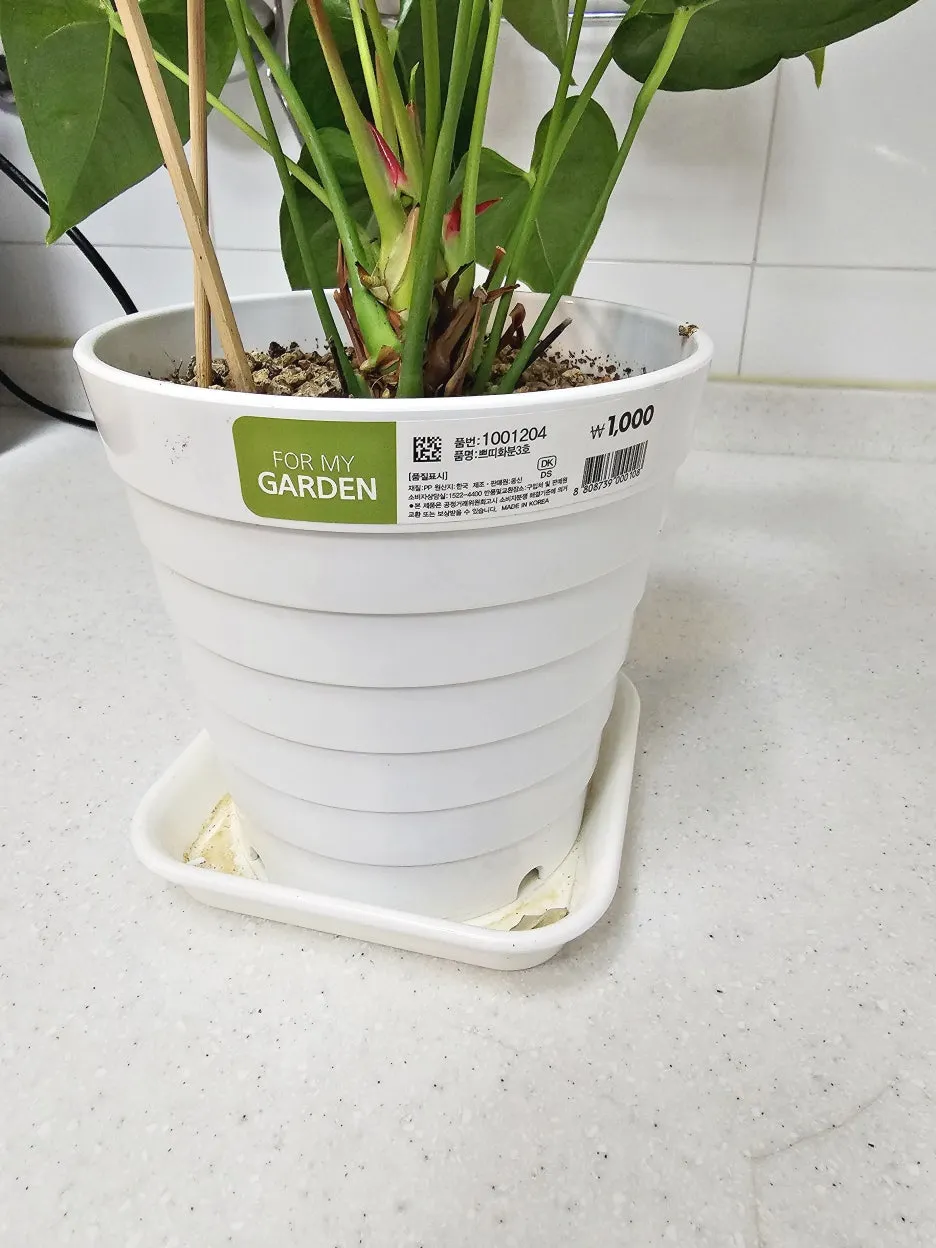 다이소 화분 활용 배수구멍 만들기 받침 사용 흙선택 예산절약 팁_3