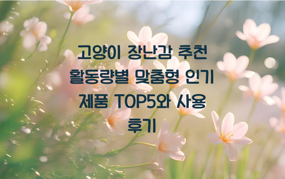고양이 장난감 추천! 활동량별 맞춤형 인기 제품 TOP5