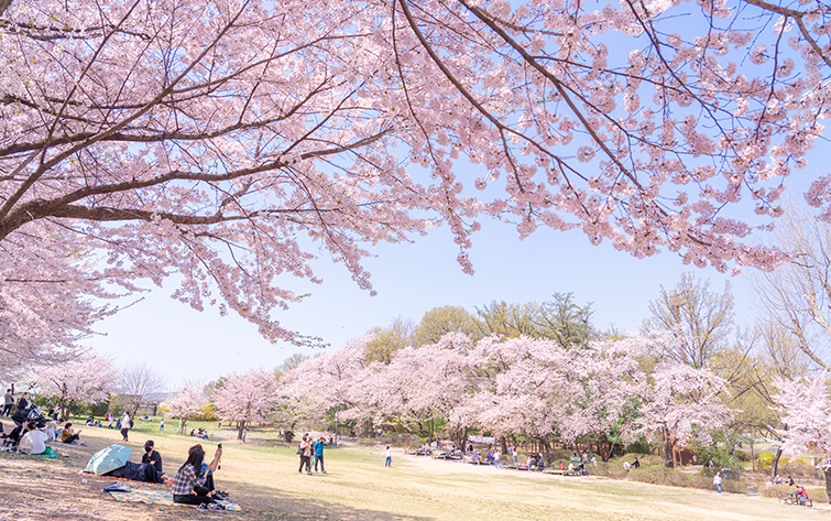 구의문-잔디밭