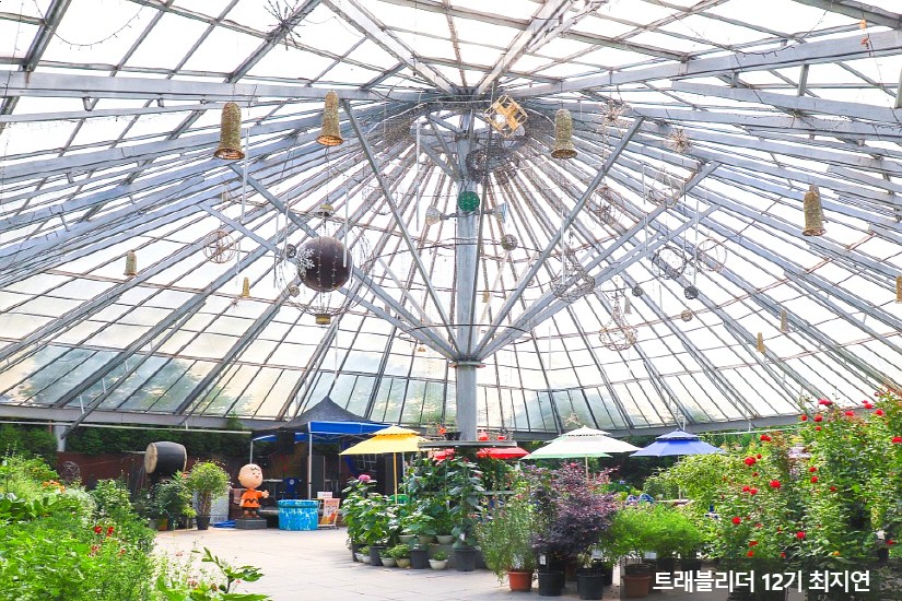 청양 가볼만한곳 베스트10