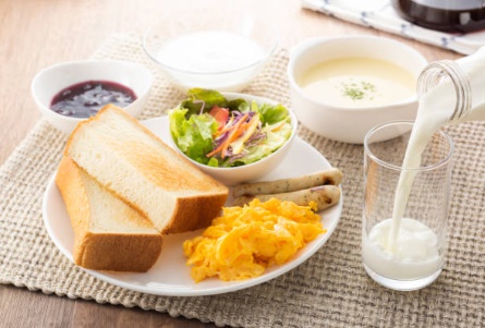 산양유 단백질 파우더 분말