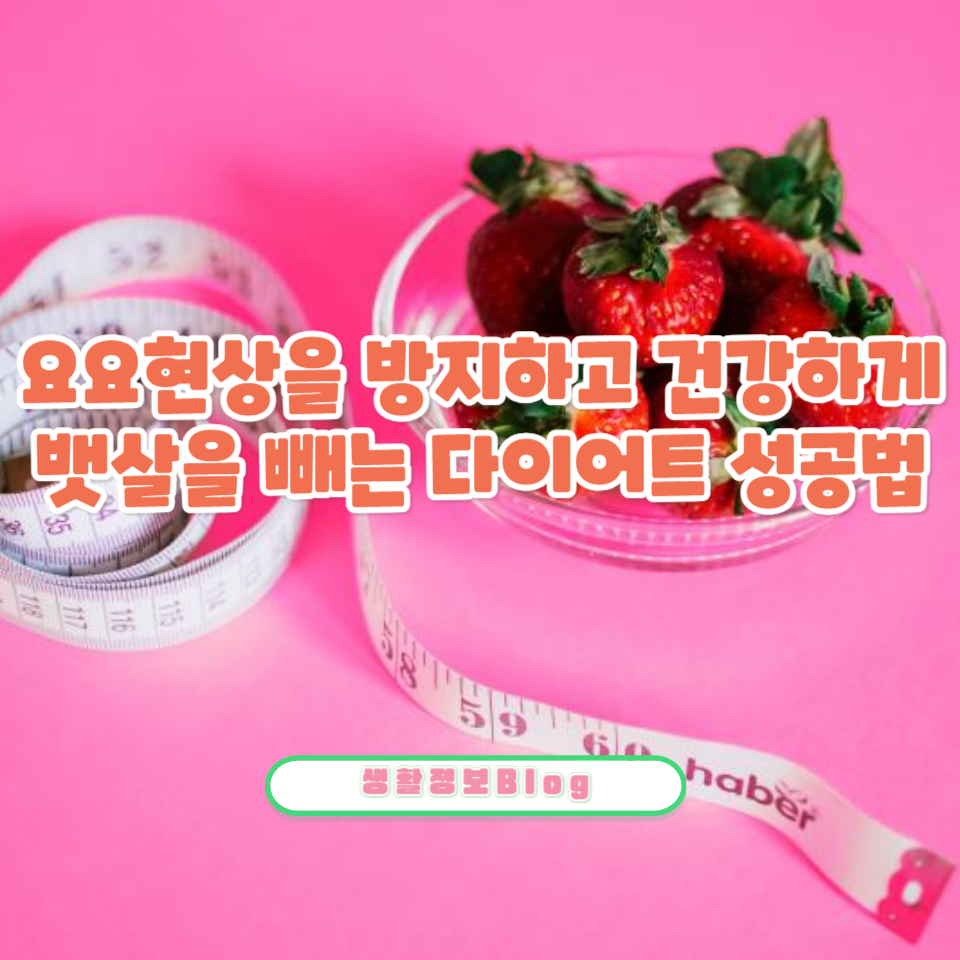 요요현상을 방지하고 건강하게 뱃살을 빼는 다이어트 성공법