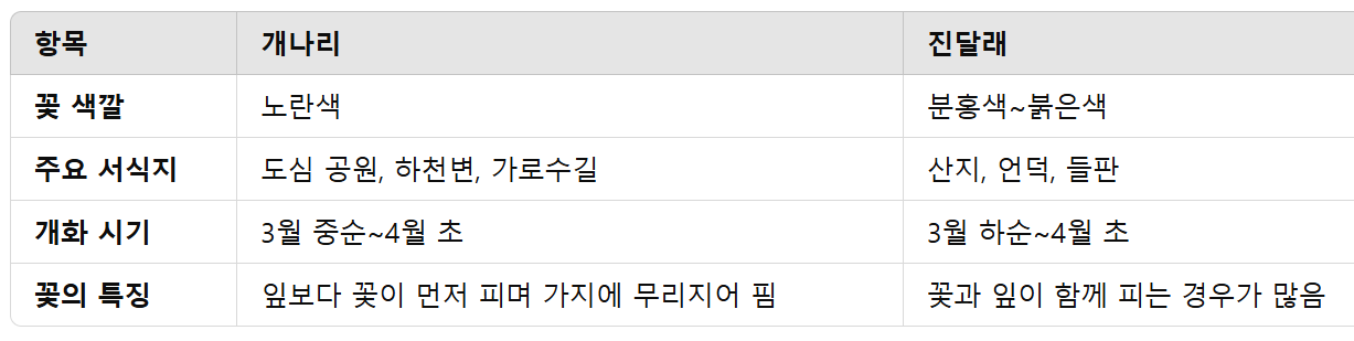 개나리와 진달래의 차이점