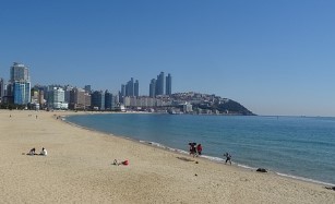 강원도 해수욕장 개장일