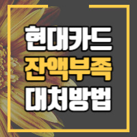 현대카드 카드대금 연체시 대처방법에 대한 포스팅 썸네일