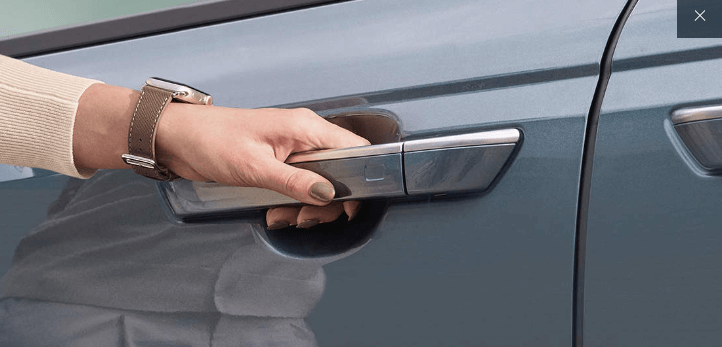 카니발 하이브리드