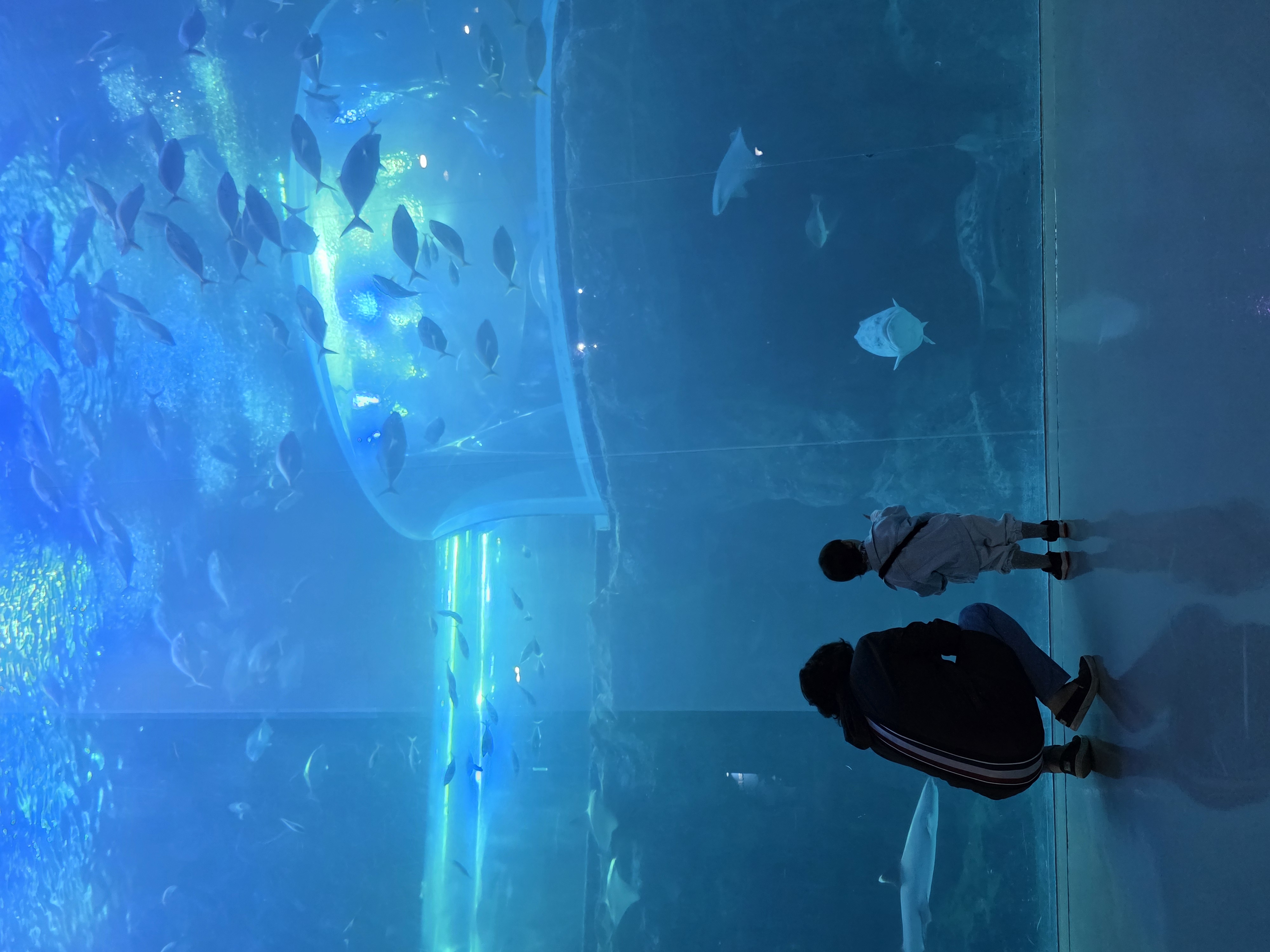 아쿠아플라닛 내부