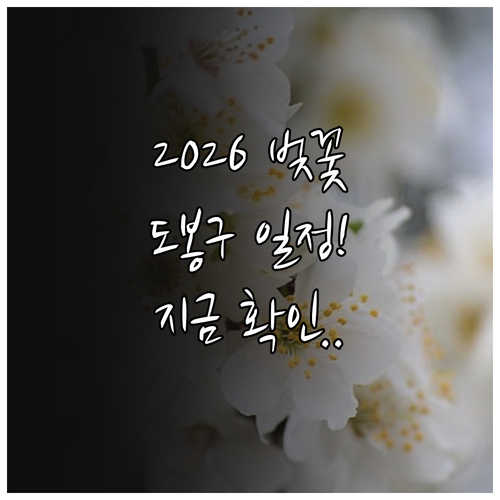 2026년 서울 벚꽃 개화 시기 및 ..