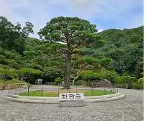 화담숲 초행자를 위한 완벽 가이드