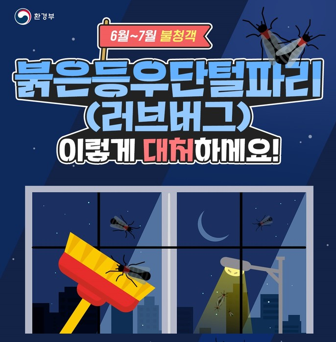 러브버그 퇴치법