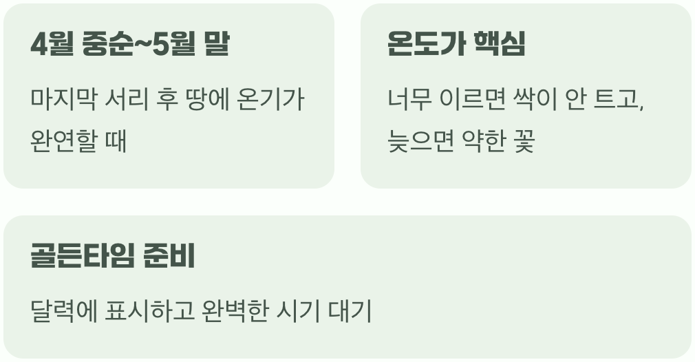 씨앗을 뿌릴 최적의 타이밍
