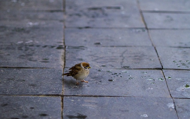 장마 예상 기간 2025년 바로 보기 20
