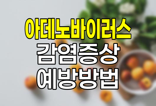 아데노바이러스 증상, 원인, 예방 및 후기 상세 정리