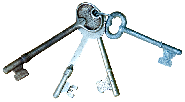 🔐 “잠긴 문이 말해주는 진실”도시 탐정 락스페셜리스트, 열쇠로 사건을 푸는 사람들