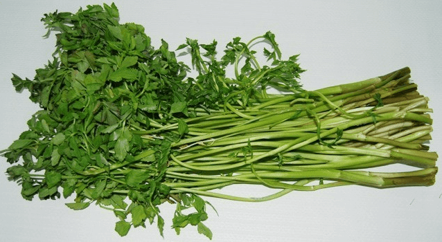 황사와 미세먼지에 좋은 음식 미나리