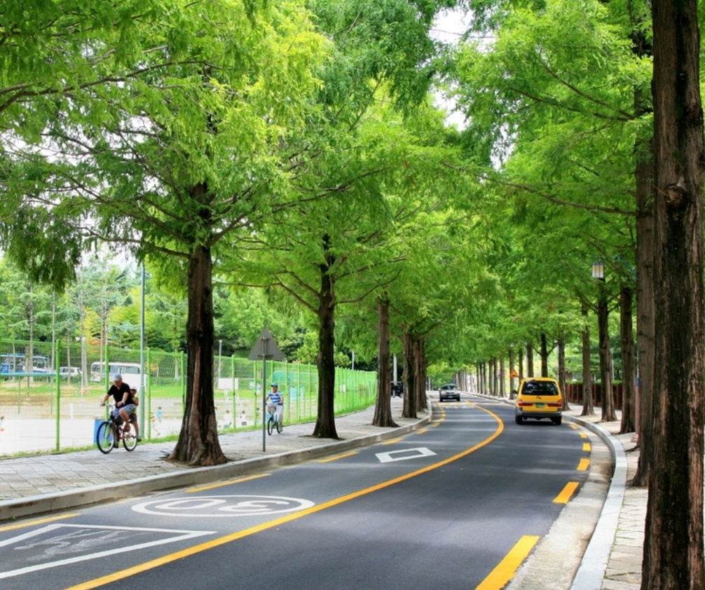 창원가로수길