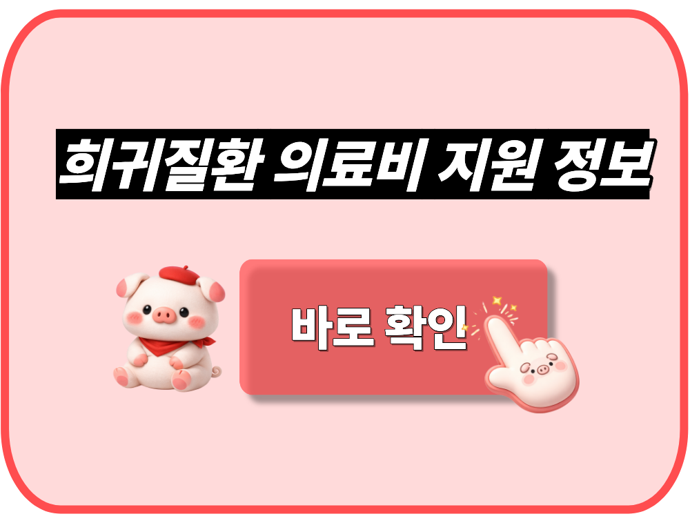 희귀질환 의료비 지원 정보