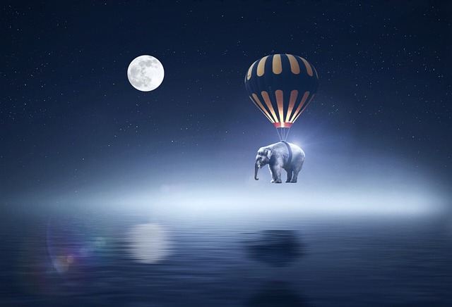 완벽주의자! 끝없는 고통이 따를뿐 이다.