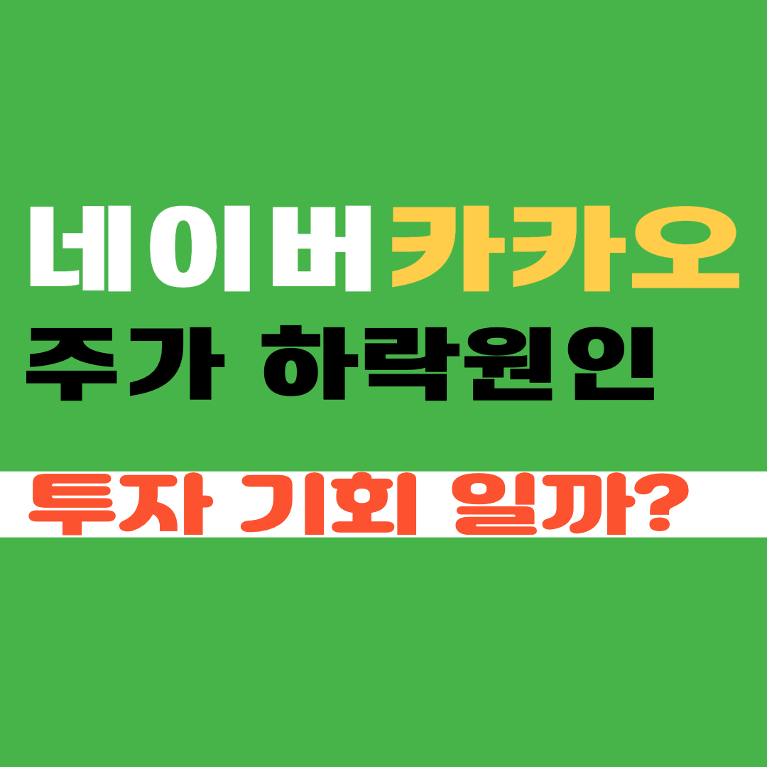 네이버 카카오 주가 하락 원인, 주가 전망