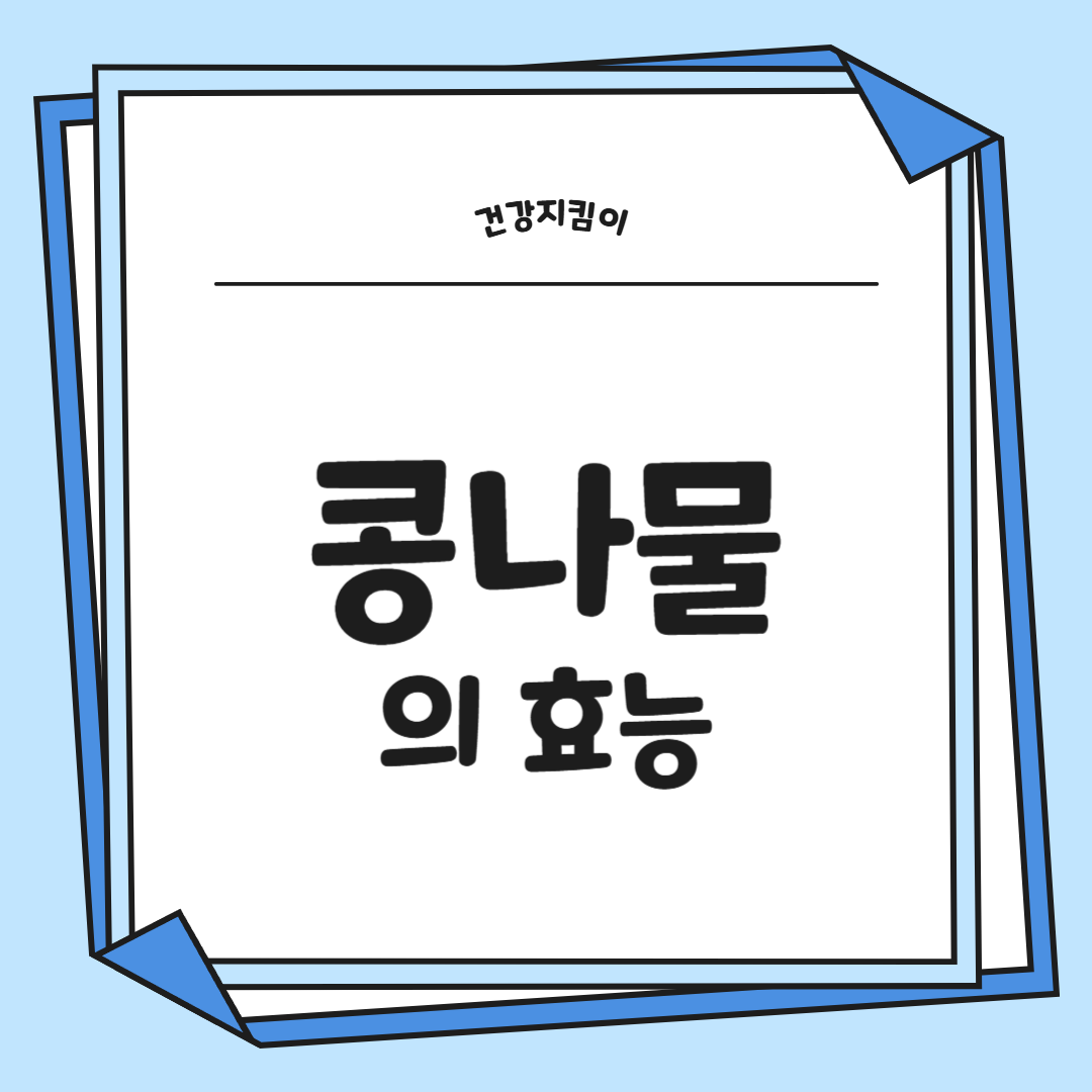 콩나물 효능 부작용 숙취 칼로리