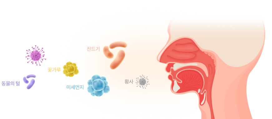 미세먼지가 비염을 악화 시키는 이유