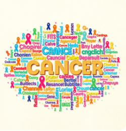 특정암 1,000 종류