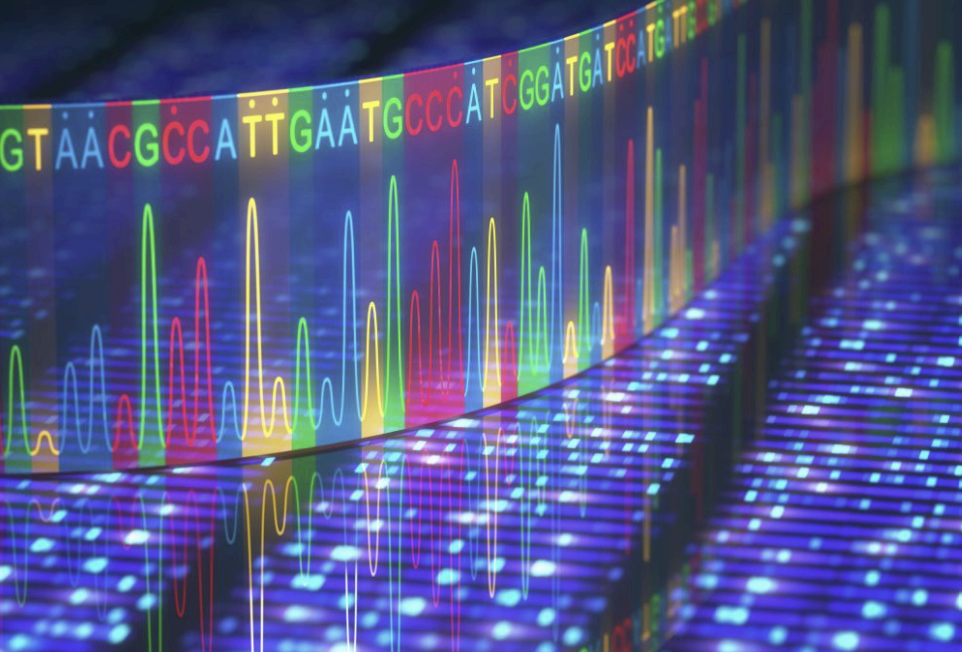 RNA-Seq: 차세대 염기서열 분석(NGS)을 활용한 전사체 연구