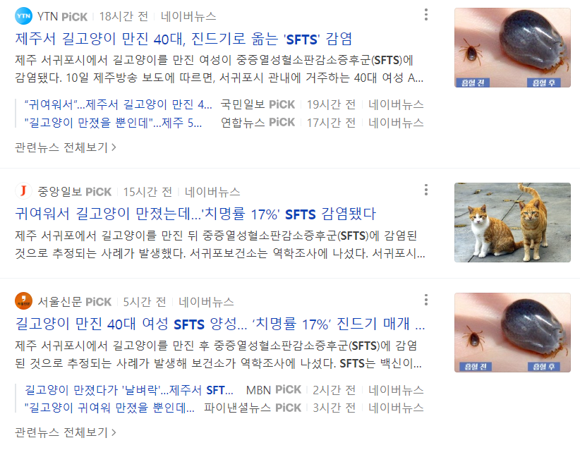 살인진드기 감염