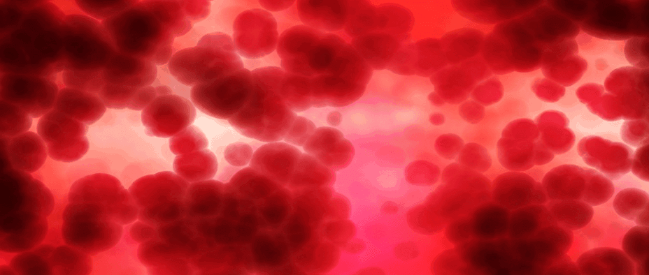 백혈구 정상수치