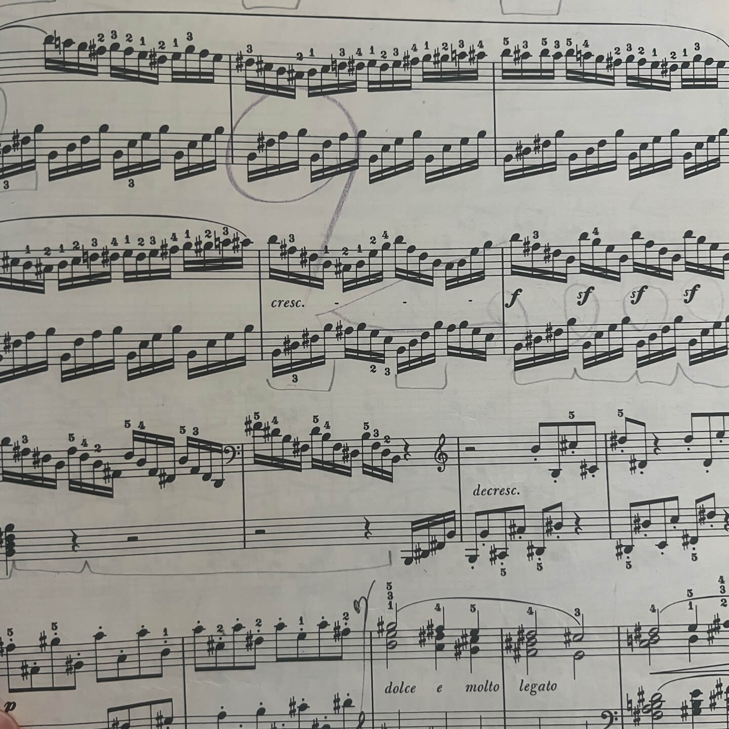 발트슈타인 소나타 1악장 내가 직접 그린 페달링