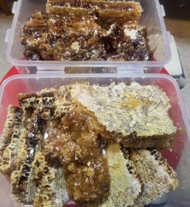 생생정보-홍천-꿀의진수-토종꿀-늘봄농원