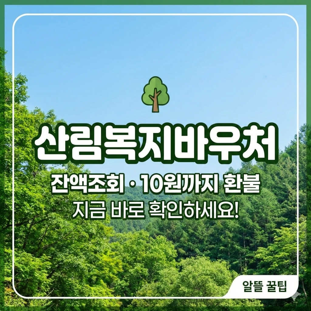 산림복지바우처 잔액조회 및 환불 규정 남은 돈 10원까지 탈탈 터는 노하우