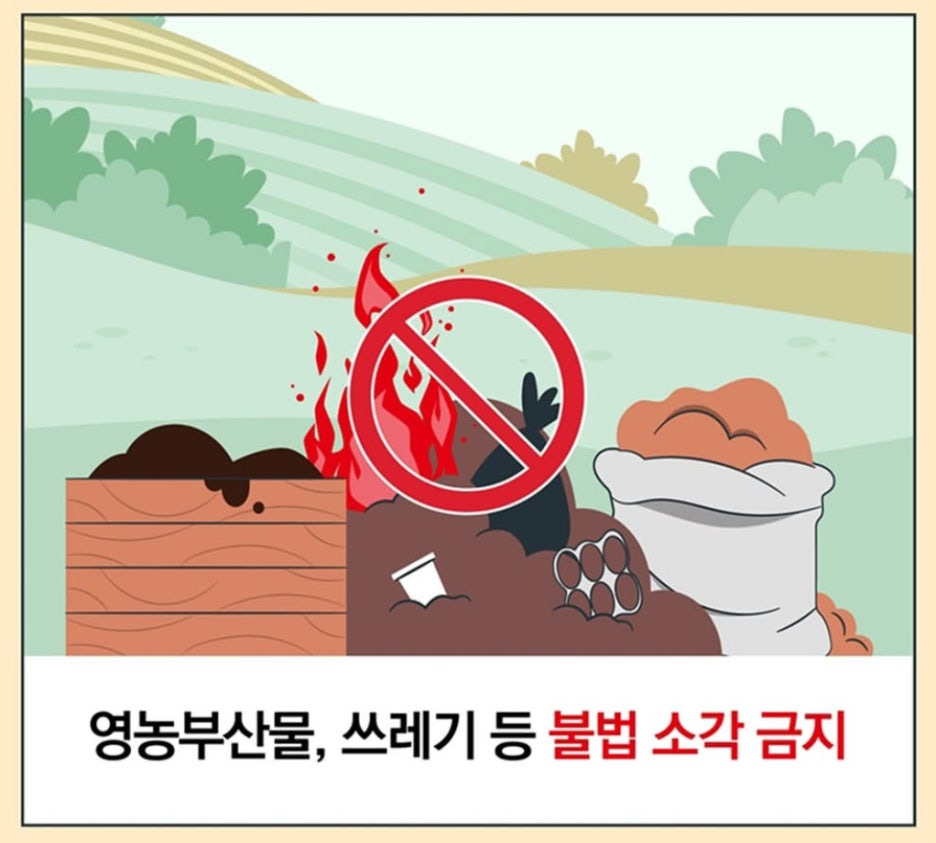 산불 관련 이미지