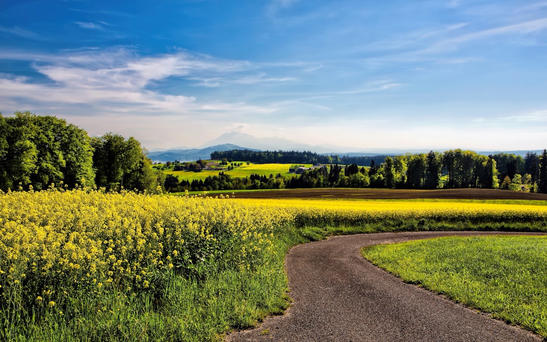 Rural