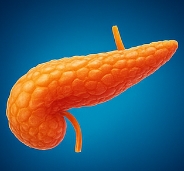 췌장에 좋은 음식