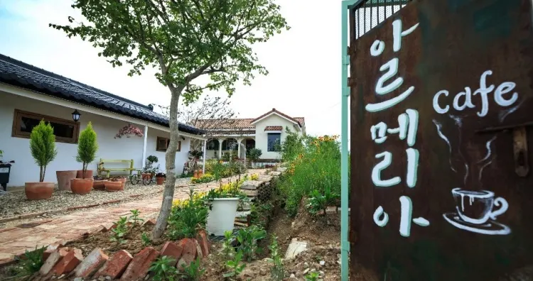 아르메리아 가게 전경