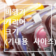 비행기 캐리어 크기