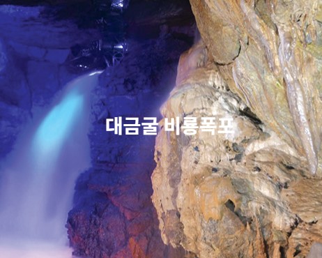 삼척장미축제