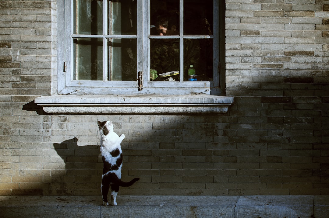Supervision