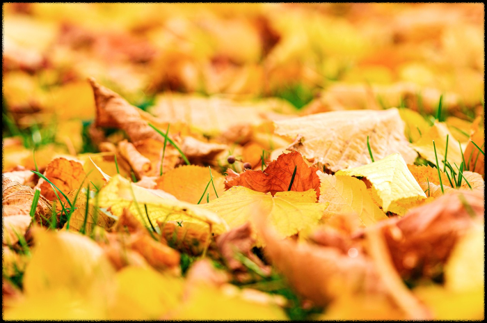 충북 가을 대표 관광지 단양 완전정복