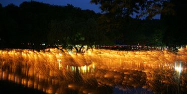 함안낙화놀이 보존회