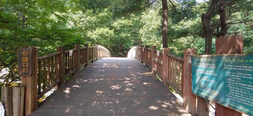 부천 자연생태공원 &amp; 무릉도원수목원 완벽 가이드: 지하철로 떠나는 가성비 최고의 도심 힐링 여행