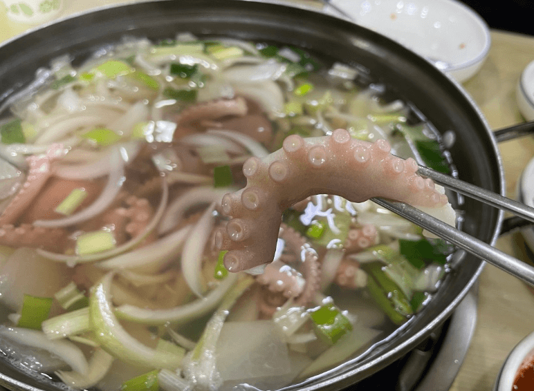 생생정보통 박속낙지탕 경기 광명 맛집 정보