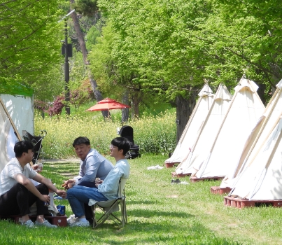 함평나비축제 일정, 초대가수, 입장료 할인정보🦋