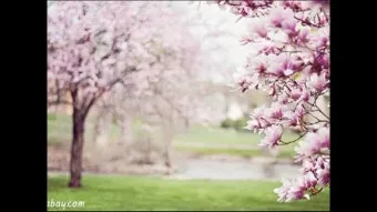 4월 인사말 모음 문구 이미지 일러스트_22